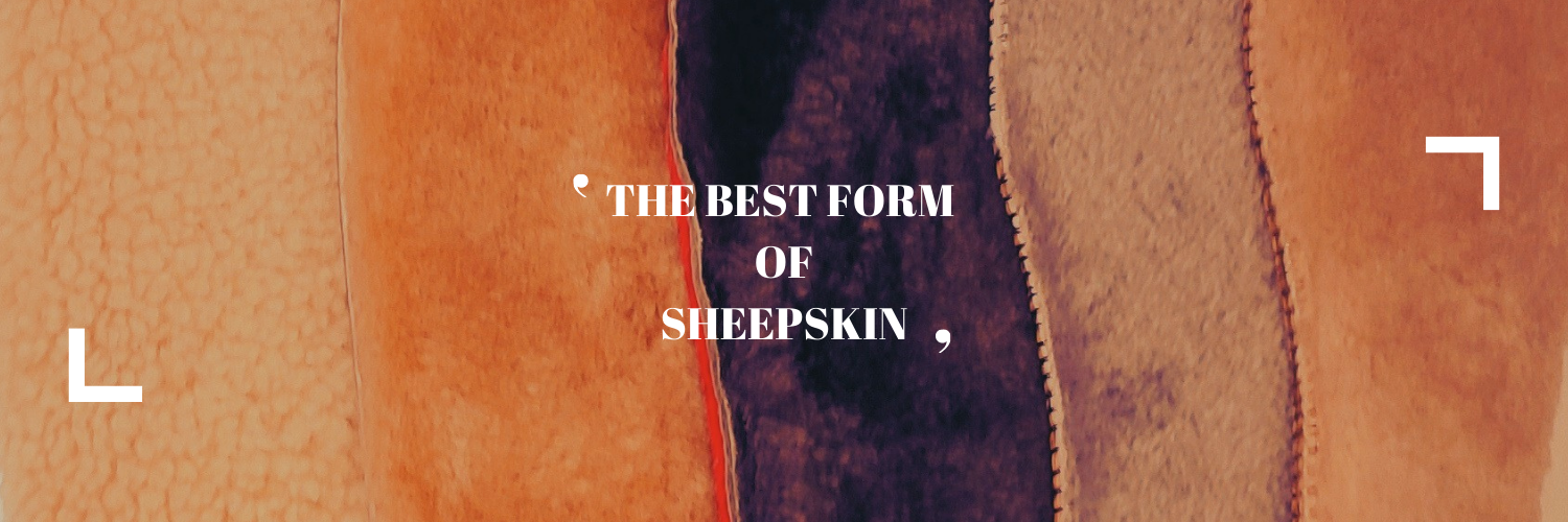 Sheep Art