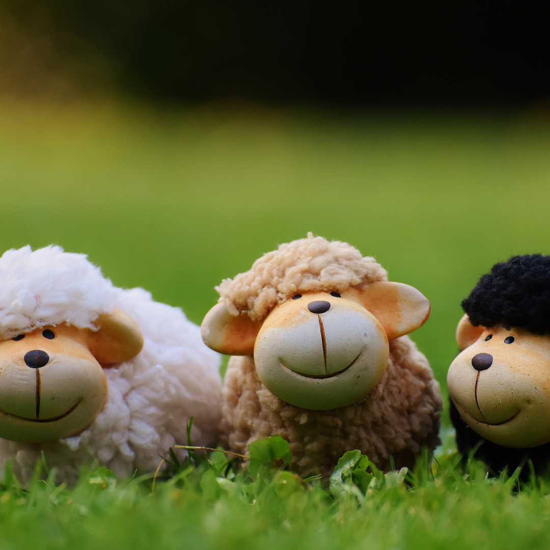 Sheepskin Has a Natural Structure…