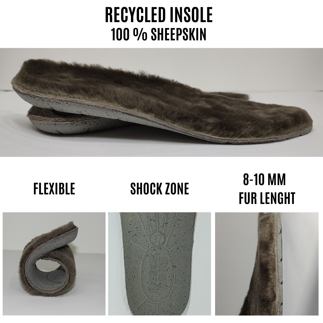 Recycle Insole